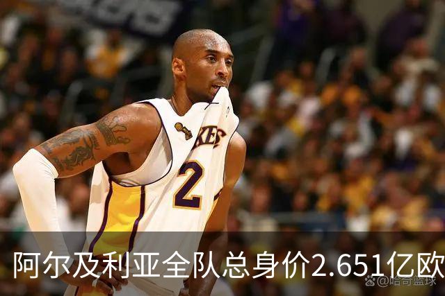 阿尔及利亚全队总身价2.651亿欧，26名球员中马扎的4500万欧最高